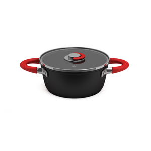 Non Stick Forged Aluminum 20/24/28 Casserole Passion Series